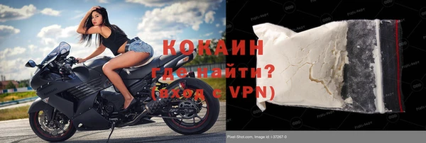 стафф Алексин