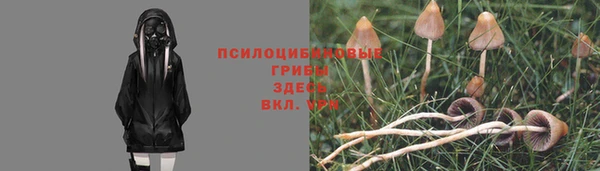 стафф Алексин