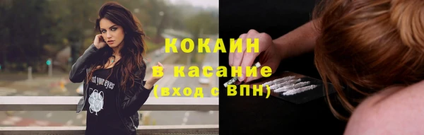 ECSTASY Алзамай