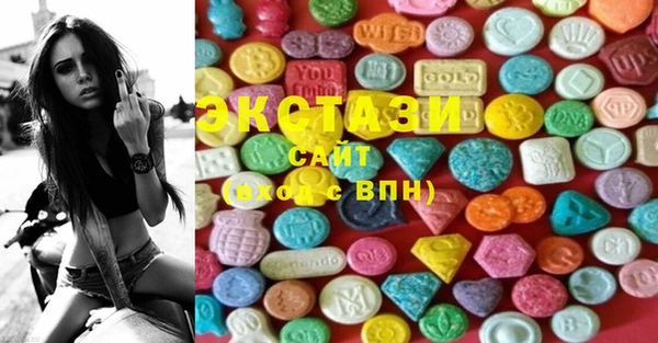 ECSTASY Алзамай