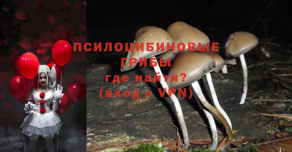 МДПВ Алексеевка