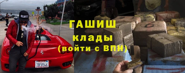 стафф Алексин