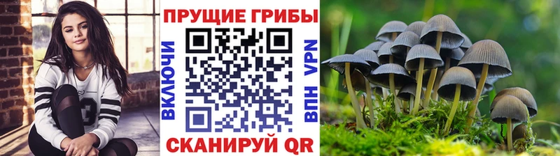 Галлюциногенные грибы Cubensis  даркнет сайт  Глазов 